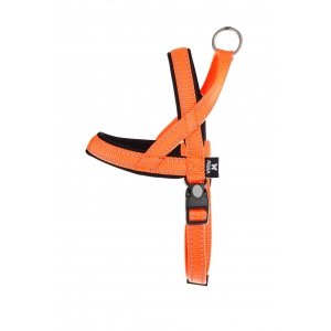 Norwegian harness for sport dog - Neo + orange