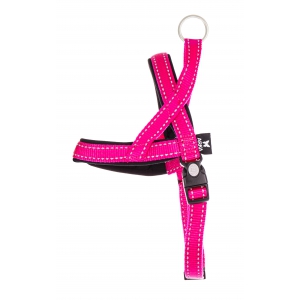 Norwegian harness for sport dog - Neo + pink