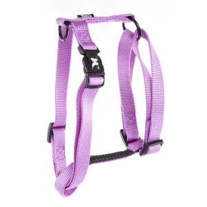 Dog harness - Purple nylon - Martin sellier