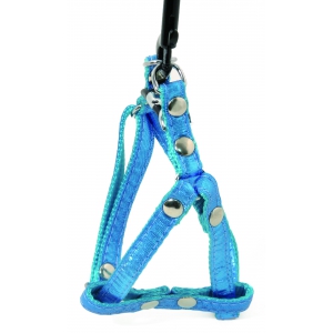Dog harness - Disco blue turquoise