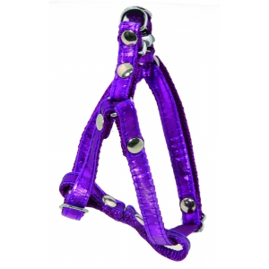 Dog harness - Disco purple turquoise