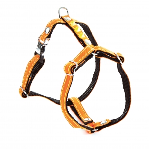 Dog color fluo harness - nylon orange & yellow