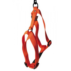 Dog harness - nylon orange