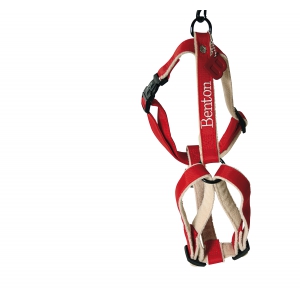 Dog nylon harness - Benton red