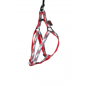 Harnais nylon pour chien - Scott Snow