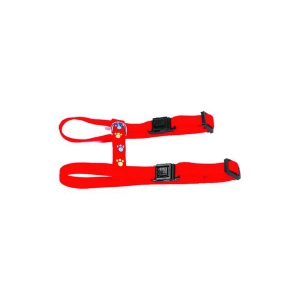 Harness for cat - cat paws - red