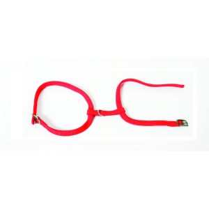 Harnais pour chat - rouge