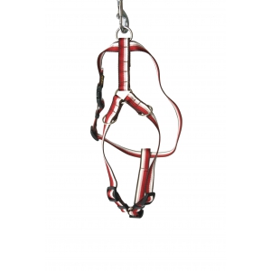 Harnais pour chien - Baya