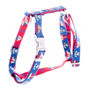 Dog harnais - Cap dog