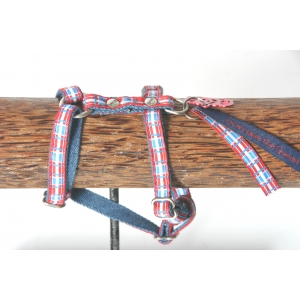 Harnais pour chien - Dog Save The Queen