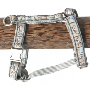 Harnais pour chien - Oliver bleu