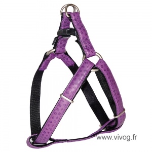 Doremi purple harness