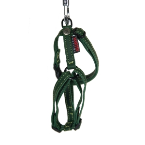 Nature adjustable leather harness