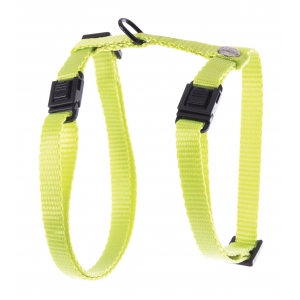 Adjustable plain nylon cat harness - Green