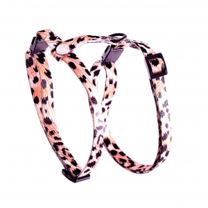 Harnais réglable pour chat - Puma orange