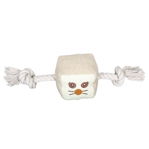 Dog Toy - square ball and rope