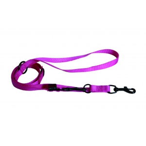 Training lead dog 3 positions - Pink
