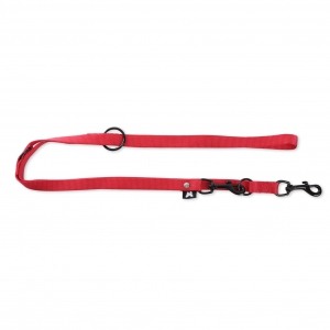 Training lead dog 3 positions - Red