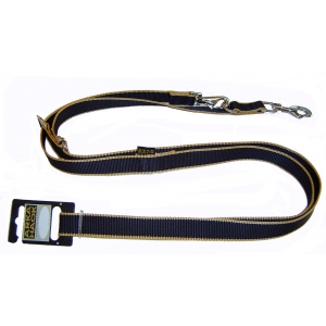 Laisse de dressage 3 positions pour chien - Safran