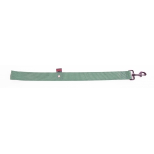 Lead double thickness for dog green nylon - W40mm L 60cm