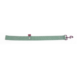 Laisse double épaisseur pour chien en nylon vert - larg 40mm Long 60cm