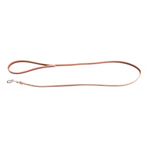 Brown leather lead for dog - classic colorful leather riveted