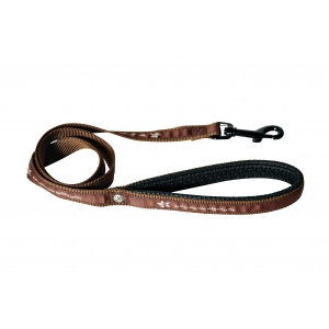 Brown lead for dog - Pets connection
