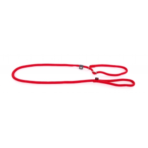 Laisse nylon avec collier éducation rouge - 180cm 