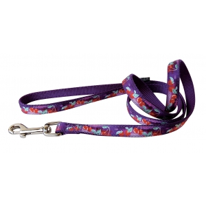 Laisse nylon cerises violet