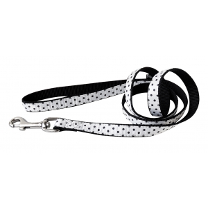 Laisse nylon coccinelle blanc