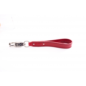 Dog lead red handle