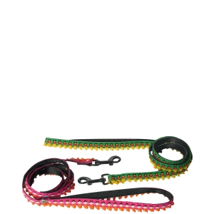 Laisse pour chien - Dancing Queen rose