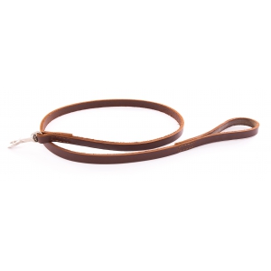Leather Dog Lead unlined oil