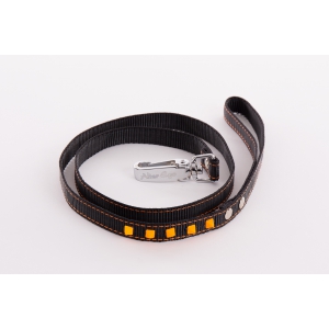 Laisse pour chien - nylon Fluo Black noir & orange