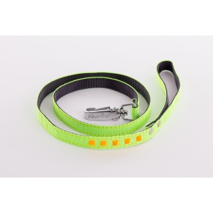 Dog nylon lead - Fluo Black  - green & orange