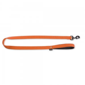Laisse pour chien - nylon orange