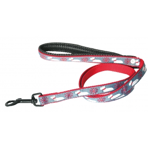 Laisse pour chien - nylon pour chien - Scoot Snow