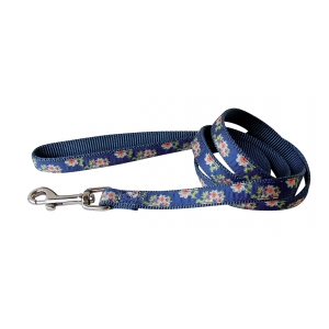 Laisse pour chien - nylon romantique bleu