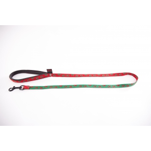 Laisse pour chien rouge vert - pattes originales
