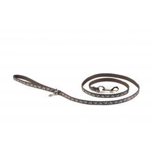 Laisse pour chien - Salamandre marron