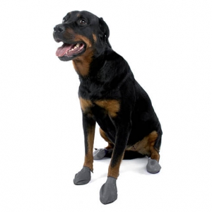 Set of 12 Dog Bearing Protective Footwear - Black