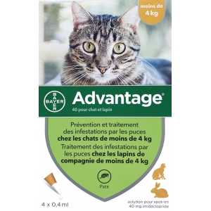 Pipettes antiparasitaires - chat de moins de 4 kg - Advantage