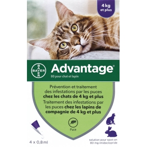 Antiparasitics pipets - cat more than 4 kg - Advantage