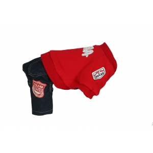 Pull + pantalon pour chien - Sweater US rouge