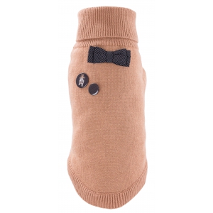 Pull pour chien - Téo Jasmin Dandy - T20