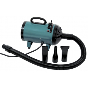 Cat and dog Dryer Blaster - Vivog - D2400 - 1 green dryer blaster
