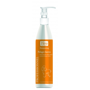 Dog professionnal shampoo - Apricot coat - Pro Hery