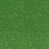 Cactus paillette