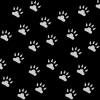 Noir pattes argent