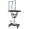 Table de toilettage hydraulique tournante Vivog - TA530B - Noire